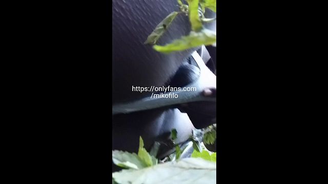 Guy Sits on Face in POV Blowjob Scene