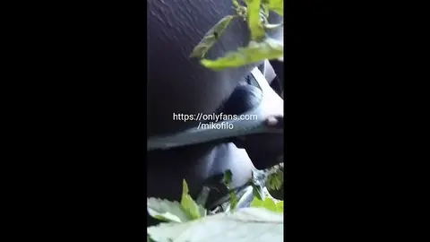 Guy Sits on Face in POV Blowjob Scene