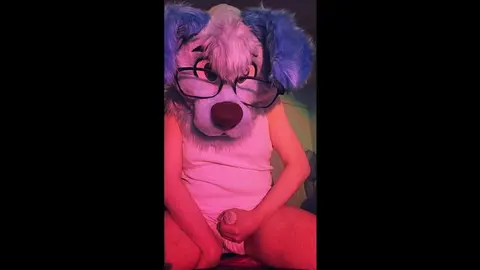 Pup Wets Undies in Messy Accident