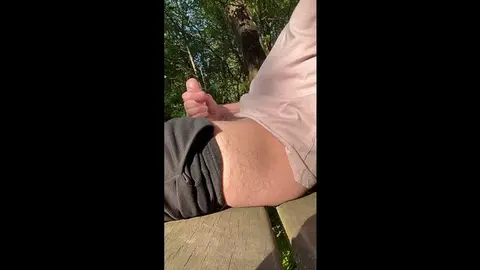 Public Park Blowjob Ends in Hardcore Cum