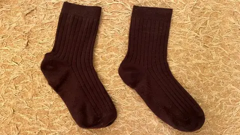 Guy in Dark Brown Ribbed Socks Masturbates Solo