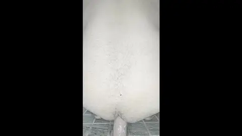 Gay Bottom Enjoys Dildo Fucking