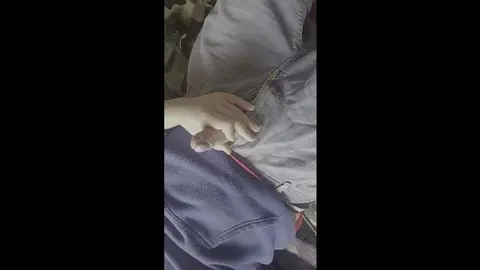 Big Dick Tops Guy in Tight Jeans for Hardcore Fun
