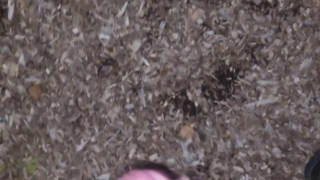 Dildo Fucked in Crowded Park Outdoor