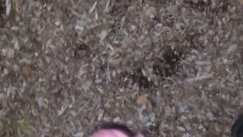 Dildo Fucked in Crowded Park Outdoor