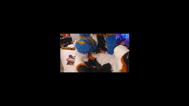 Furries Engage in Knotting Sex Compilation