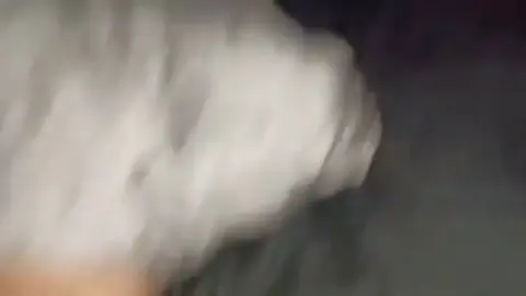 Cory Bernstein Masturbates Big Dick to Huge Cumshot