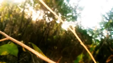 Solo Guy Masturbates to Climax