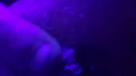 Intense Ass Play with Rough Anal