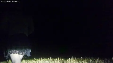 Naked Guy Shows Off in Spotlight