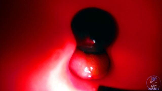 Extreme Frottage with Close Up Cock Action