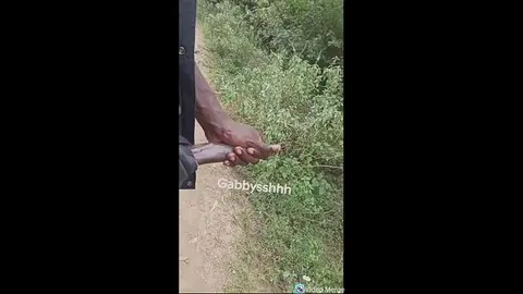 Monster Cock Outdoor Jerk Off Session