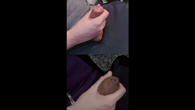 Two Plump Cocks Stroked with Pre-Cum