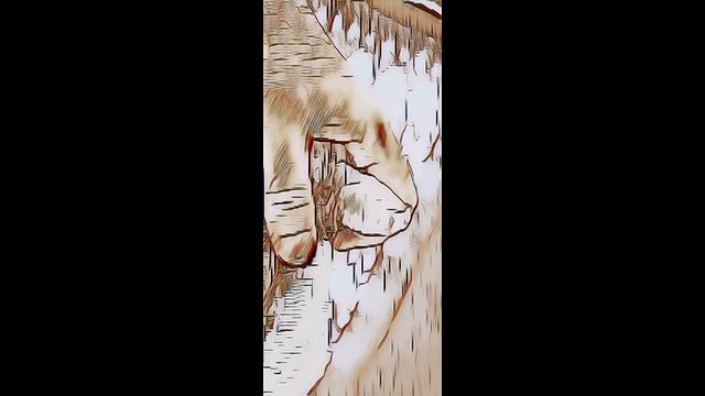 Gay Animated Intro Clip