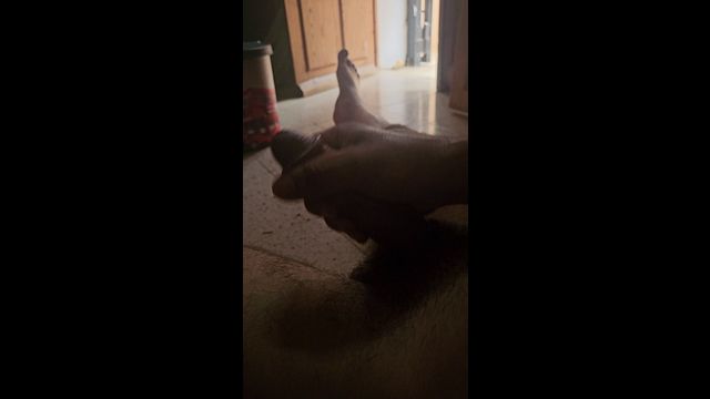 Solo Guy Strokes His Big Cock