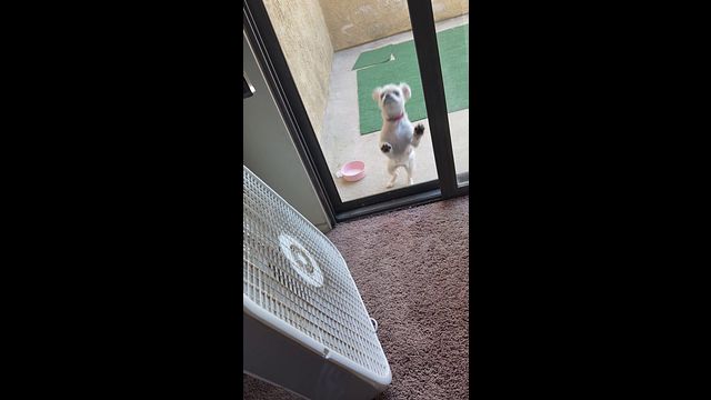 Guy Masturbates in Shower