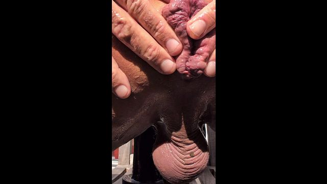 Closeup Bussy Fingering with Gaping Hole