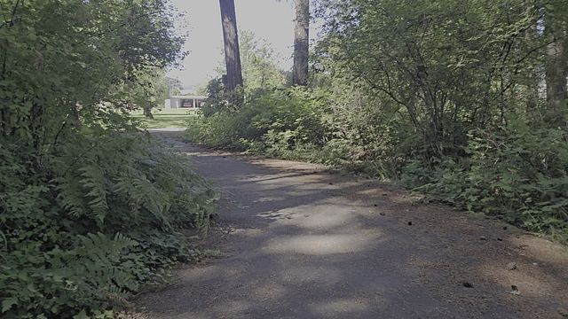 Guy Masturbates with Inverted Penis on Public Trail