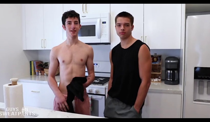 Flip Fuck with Two Gay Men