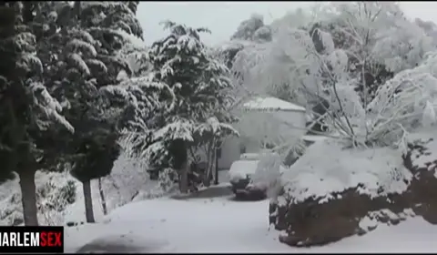 Snowed In Guy Sucks Cock