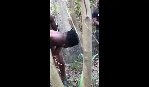 Men Engage in Hardcore Outdoor Sex