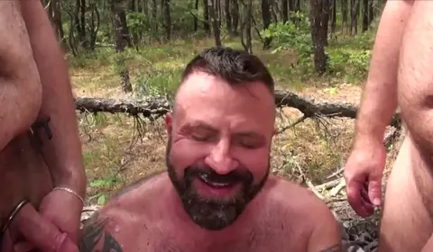 Hairy Bears Engage in Intense Group Orgy