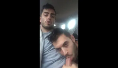 Bearded Men Share Oral Sex