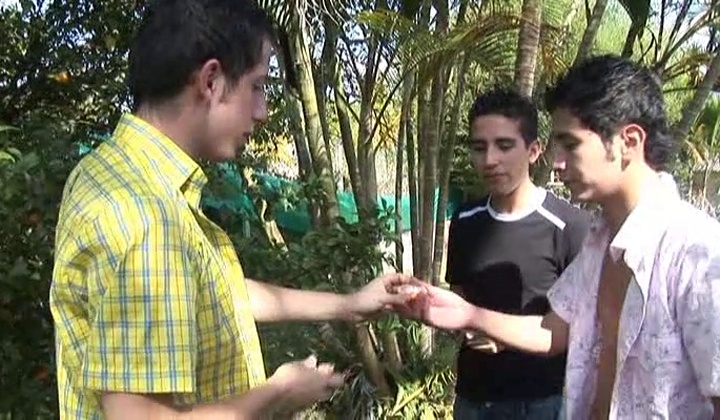 Outdoor Gay Sex in Garden