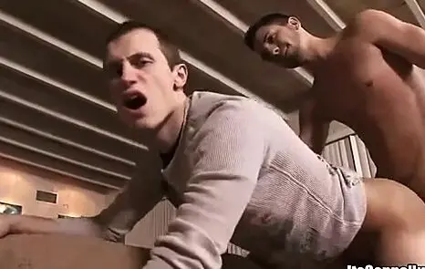 Guy Can't Resist Hardcore Anal Sex