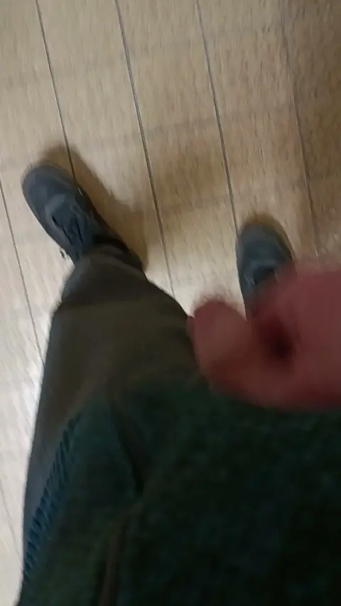 Risky Public Toilet Dick Flash Ends in Cum