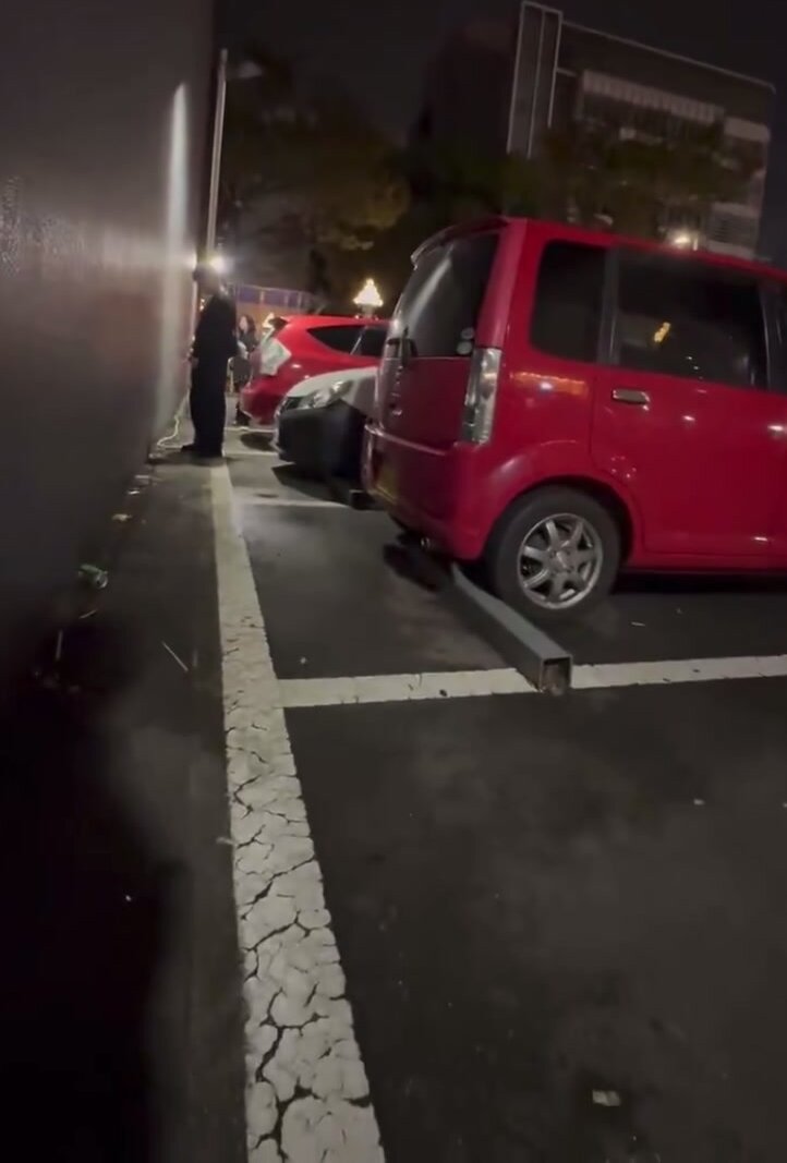 Japanese Guy Pisses Outdoors