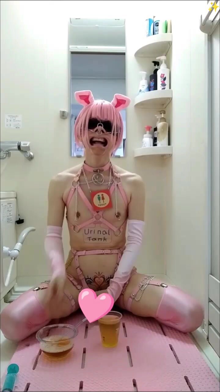 CD Piggy Drinks Piss from Master