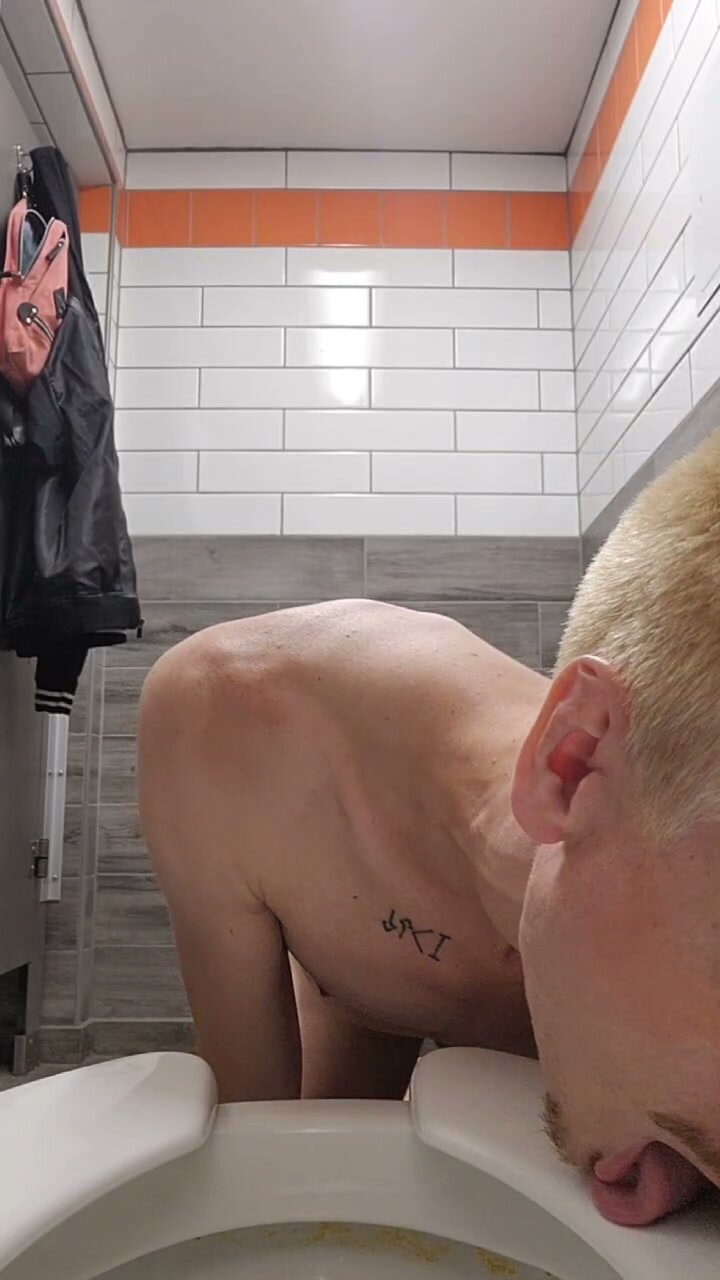 Toilet Slut Gets Fucked in Public Restroom