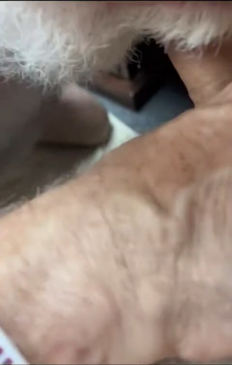 Young Student Fucks Older Professor Bareback