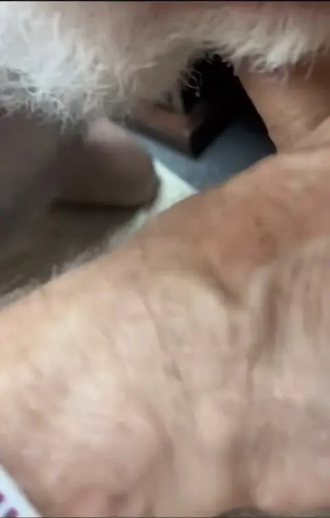 Young Student Fucks Older Professor Bareback