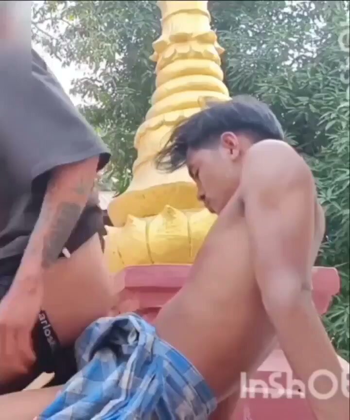 Gay Men Have Public Sex Outdoors