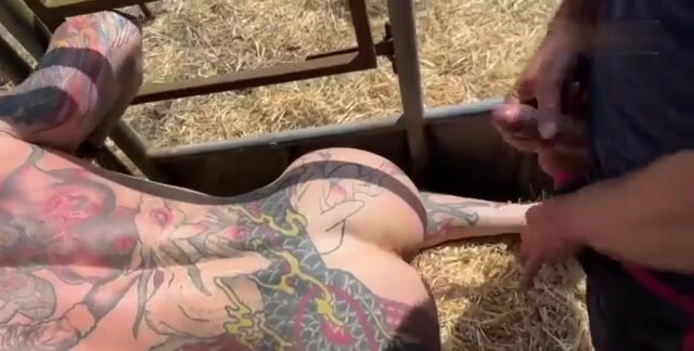 Bareback Breeding in Cattle Crush