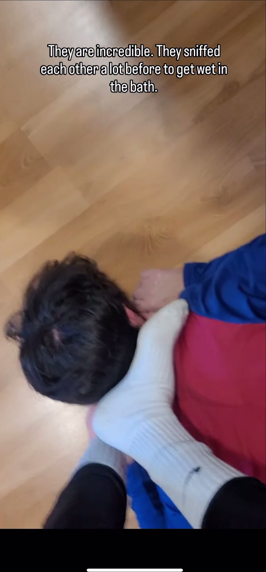 Men Worship White Socks Fetish