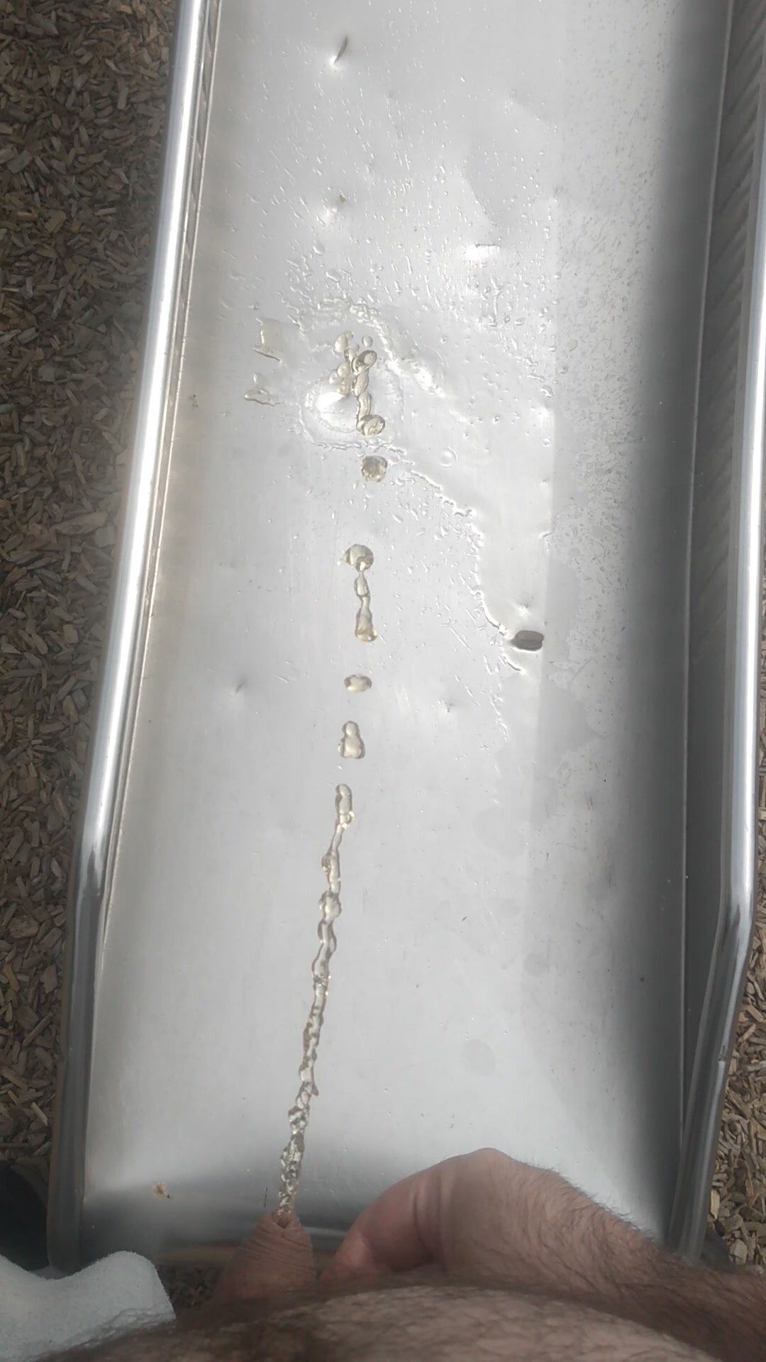 Gay Man Urinates on Public Playground Slide