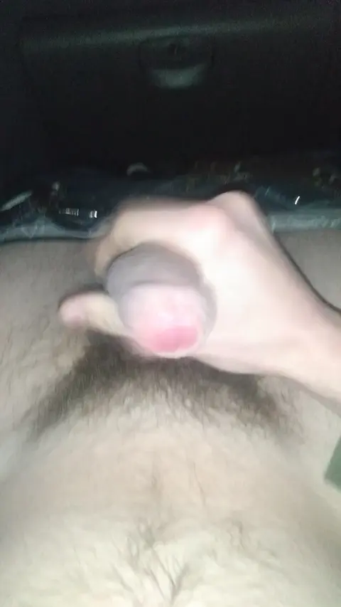 Gay Asian Man Jerks Off in Car with Bareback Cum