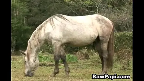Latino Twinks Engage in Hardcore Bareback Sex