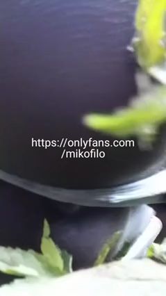 Gay Couple Dry Humps in Woods