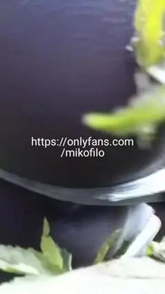 Gay Couple Dry Humps in Woods