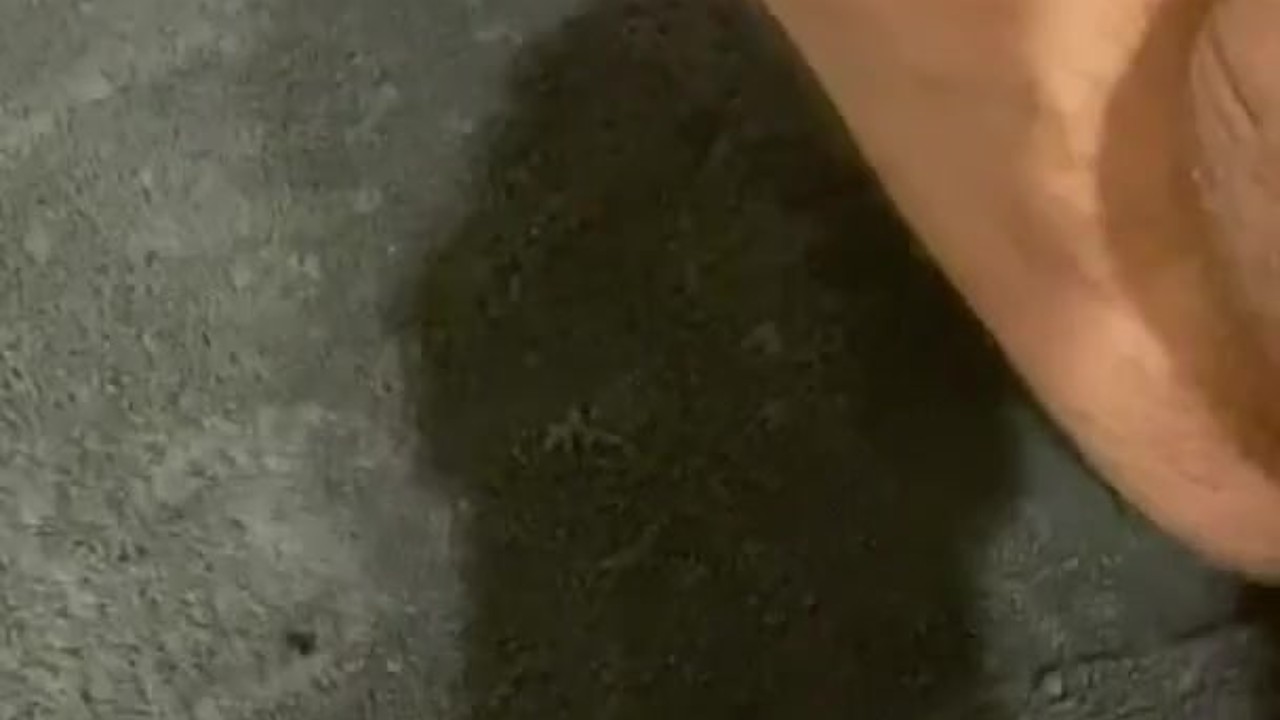 Arab Guy Jerks Off Huge White Cock