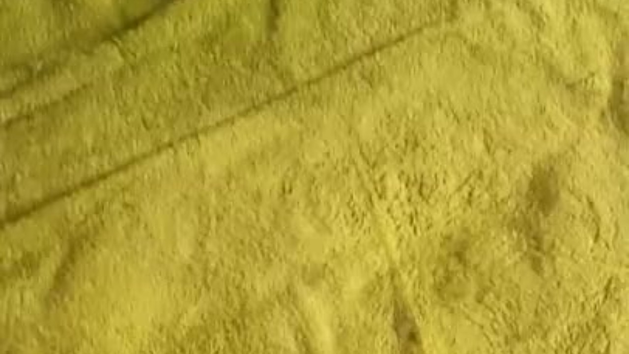Guy Masturbates to Cumshot