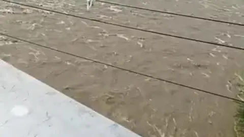 Outdoor Gay Encounter
