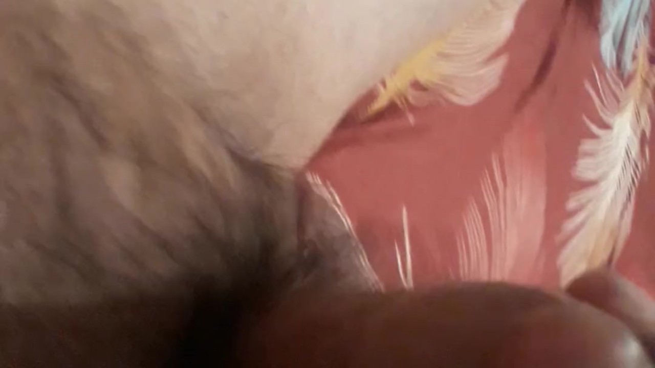 Guy Gets Fucked Before Bedtime