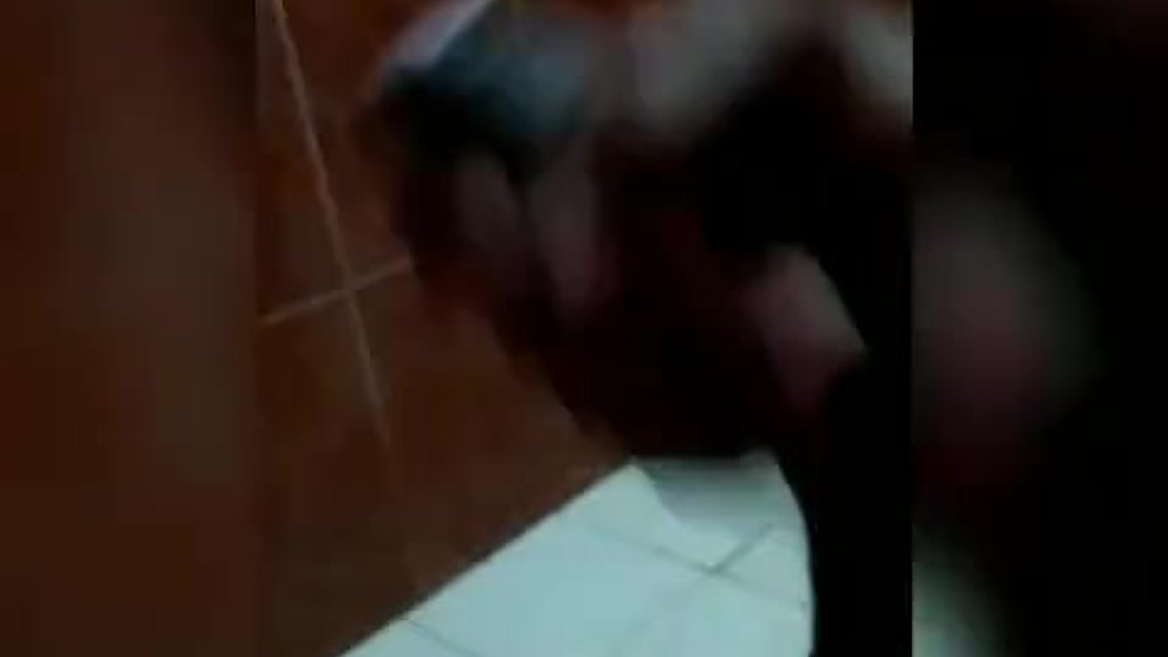 Gay Guy Masturbates in Bathroom