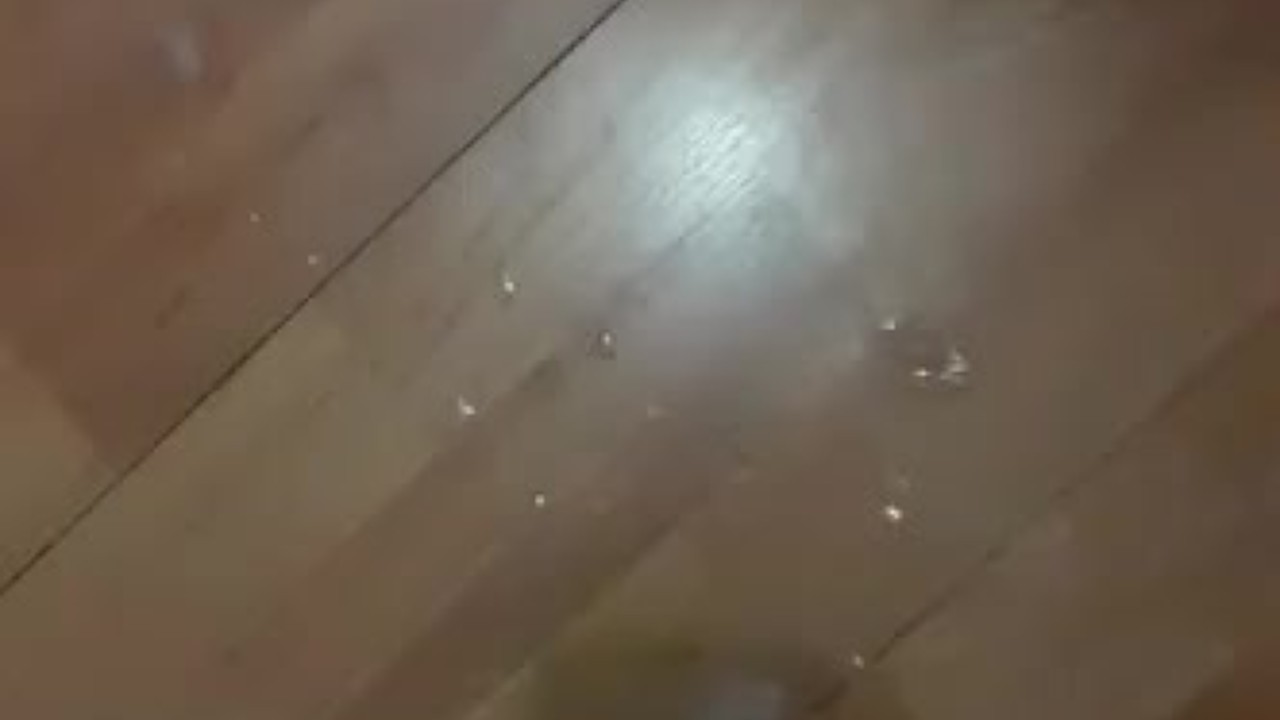 Solo Guy Masturbates to Climax