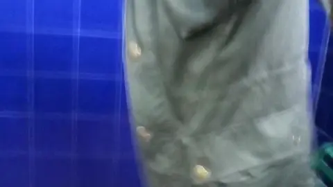 Big Dick Size Guessing Game